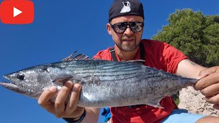 Last Bells Ring for Palamida Atlantic Bonito  Fishing on Pag Island  Croatia [upl. by Logan]