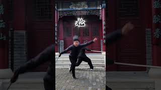 以點破面，紅纓一揮，戰鬥無畏哦双手刀武术 功夫中国功夫 chinesekongfu kongfu shorts教学 martialarts 中國功夫 [upl. by Latoye]