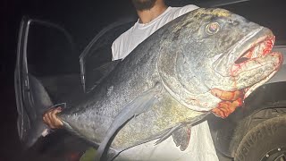 ULUA FISHING “PROMISE LANDS” [upl. by Patrice552]