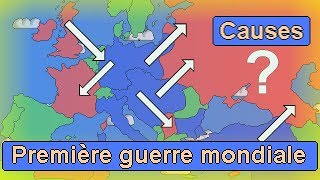 Les causes de la Première Guerre Mondiale [upl. by Yleen]