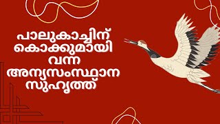 ഒരു വെറൈറ്റി ഗിഫ്റ്റ്  MRIDVA [upl. by Broderic]