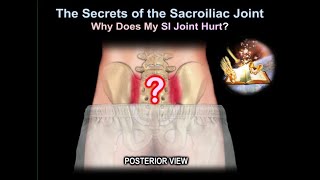 sacroiliac Joint pain why it Hurts  Everything You Need To Know  Dr Nabil Ebraheim [upl. by Kenward]