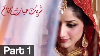 Shareek e Hayyat kay Naam Part 1  ATV [upl. by Drusilla621]