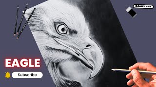 How to Draw Eagle Head Step by step  realistic Sketch  Complete Detailed Sketch  58 [upl. by Kanor]