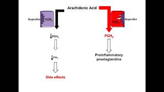 Ibuprofen  Mechanism of Action [upl. by Ventre]