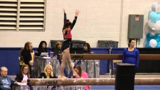 Sunisa Lee Beam  2015 Elite Qualifier Columbus [upl. by Lavona]