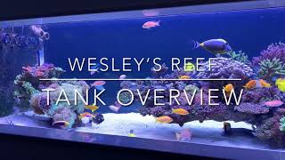 Wesley’s reef tank overview 04062021 [upl. by Adnema]