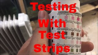 How to use Test Strips to check your water quality Ammonia Test Nitrite Test Nitrate test [upl. by Stovall]