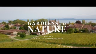 Gardiens de la Natureâ„¢ Chapitre 5 ChÃ¢teau dAuvenier amp SuterraÂ® EN [upl. by Nikolai]