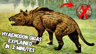 Hyaenodon Gigas You Might Be Misled By This Prehistoric Predator [upl. by Ashla]