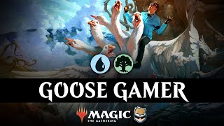 ITS LOOSE 💧🌳 Simic Ramp  WOE Standard [upl. by Germana]