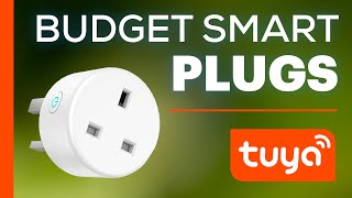 Tuya Smart Life Smart Plugs  Product Setup amp App Overview [upl. by Fakieh]