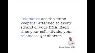 Dr Sears Telomerase [upl. by Enerahs]