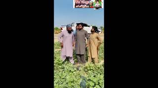 Tarboz ko rang laga kar heri phari kizar umar video shot viral [upl. by Trager]