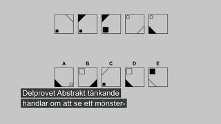 Delprov 3 Logiskt tänkande [upl. by Pruter536]