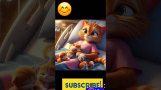 Ginger Cat😻 is pregnant [upl. by Shelia]