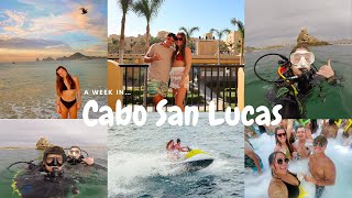 A WEEK IN CABO SAN LUCAS  JET SKIS  SCUBA DIVING  FEEDING SEALS  ETC [upl. by Airelav]