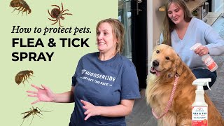 How To Wondercide Flea amp Tick Pets  Home spray [upl. by Sirred539]