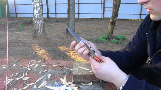 Test 551 Griptilian 154CM vs 581 Barrage M390 Часть1 [upl. by Sabrina]