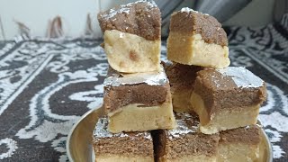 Double layer WALI Barfi कैसे बनाते है  Double chocolate Barfi  How to make Barfi at Home [upl. by Odab]