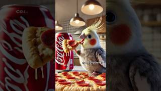 I seriously need that pizza 🍕😳🦜 funny parrot cockatiel [upl. by Drews747]