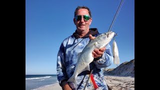 Lure fishing at Lancelin beach [upl. by Nilcaj]