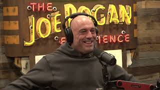 Joe Rogan Experience 2077  Tim Dillon [upl. by Camm]