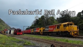 Paekakariki Rail Action  4102014 [upl. by Brigid911]