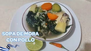 SOPA DE MORA CON POLLO  RECETA FÁCIL PASO A PASO  Cocina Salvadoreña [upl. by Vod539]