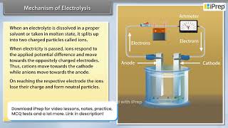 Mechanism of Electrolysis  Electrochemistry  Chemistry  Class 12th  iPrep [upl. by Yung]