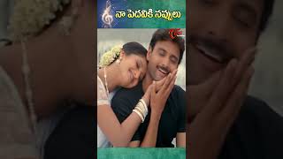 Naa Pedaviki Navvulu Song  Snehamante Idera Movie  Nagarjuna Sumanth shorts youtubeshorts [upl. by Feldstein]