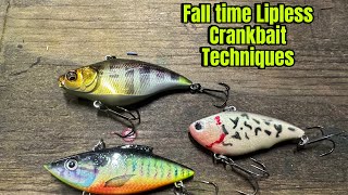 Strategies And Techniques For Fishing Lipless Crankbaits In October And November… [upl. by Annoik]