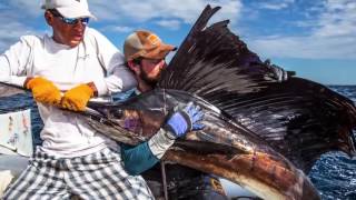 【驚愕】釣れる魚は大物ばかり…海外の釣りの達人たちの神業に大注目！ [upl. by Hope91]