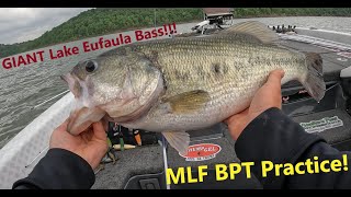 MLF Bass Pro Tour Lake Eufaula Practice [upl. by Gut]