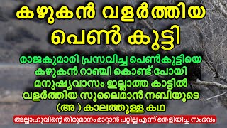 കഴുകൻ വളർത്തിയ പെൺകുട്ടി malayalamislamicspeech islamichistorymalayam [upl. by Mallon84]