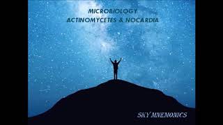 ACTINOMYCETES amp NOCARDIA features Microbiology  SKY MEDICAL MNEMONICS [upl. by Waters586]