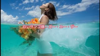 白いサンゴ礁  ズー・ニー・ヴー グループサウンズ 白いサンゴ礁 ズー・ニー・ヴー [upl. by Ihtraa]