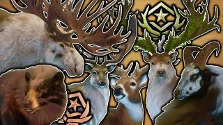 ALL OF MY 56 GREAT ONES IN THE HUNTER CALL OF THE WILD IN ONE MONTAGE YEARS WORTH OF TROPHIES [upl. by Cloots]