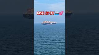 MSC ENTRY MSC VIEW CONATINERS SHIPME🤭💕shorts trending subscribe viralshorts love navy [upl. by Geno801]