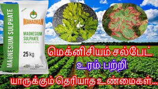 Megnesium sulphate உரம் பற்றிய விவரங்கள் mg megnesium sulphate agritechtamil micronutrient [upl. by Anaugahs632]