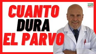 ⏰ Cuanto tiempo dura el PARVOVIRUS en un perro CACHORRO ⏰ Cuanto dura un perro con PARVOVIRUS CANINO [upl. by Ennylyak]