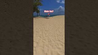 Kailua Beach  Hawaiis Best Beach  Island Vacation Walk Guide [upl. by Justicz662]