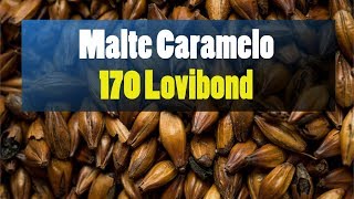 Malte Caramelo 170 Lovibond Caraaroma Caramelo 400 [upl. by Okeim44]