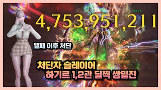 Lost Ark 처단자 상향 이후 하기르 12관 올밑잔 [upl. by Shetrit]