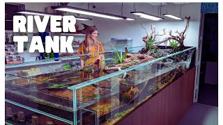 INCREDIBLE 1000L Sloped River Tank at Atlas Aquariums [upl. by Ahsan]