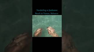 Snorkeling at Junkanoo Beach in Nassau Bahamas [upl. by Annaert]