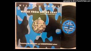 William Orbit  Water From A Vine Leaf Cromer Chroma Mix [upl. by Nilsoj164]