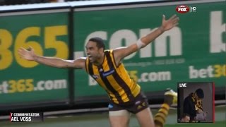 2013 Preliminary Final  Hawthorn Vs Geelong ABC commentary [upl. by Charley]