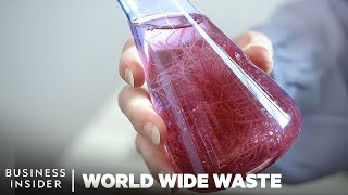 How To Make Plastic From Seaweed  World Wide Waste  Business Insider [upl. by Rillings]