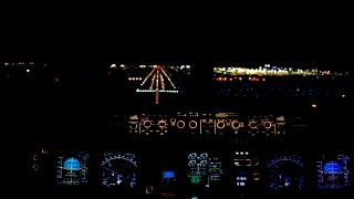 A320 Cockpit Flight Rovaniemi  Helsinki [upl. by Malonis]